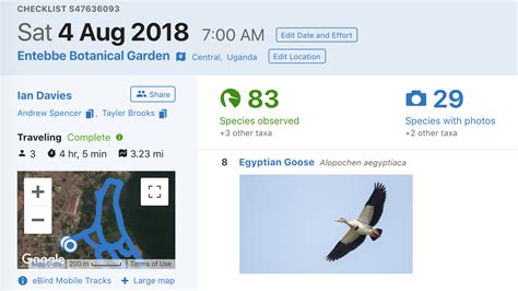 ebird login|www.ebird.com login.